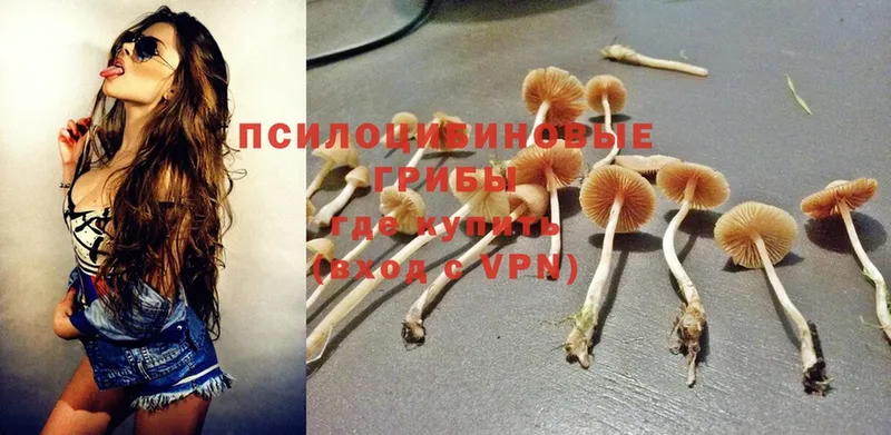 Псилоцибиновые грибы Psilocybine cubensis  Бавлы 